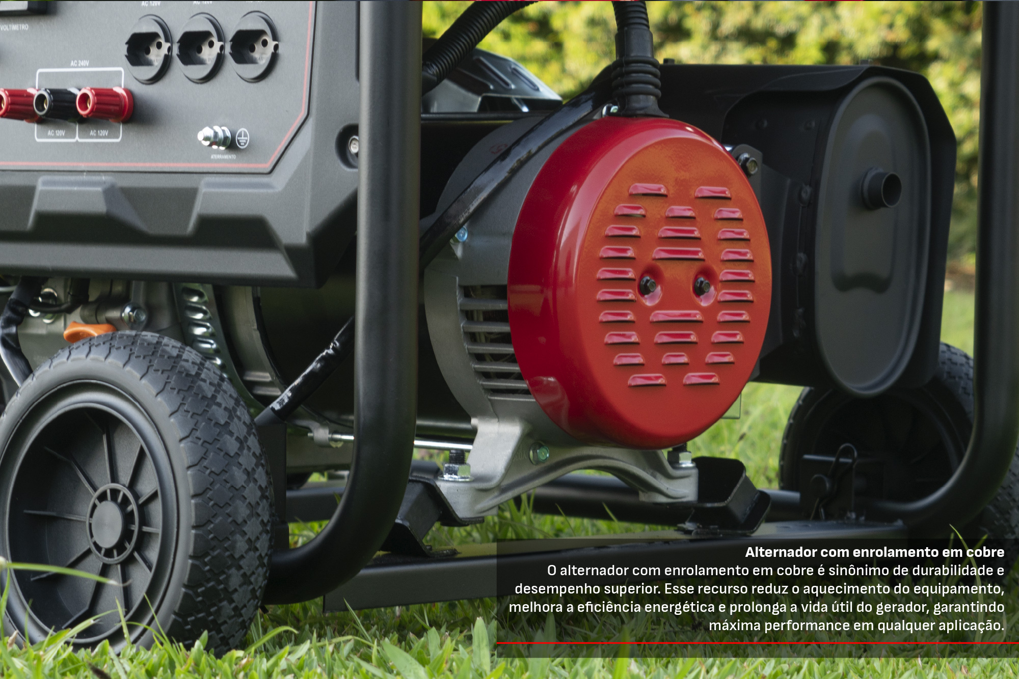 CCM do Brasil - Cód. 5600491